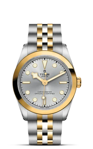 Tudor Black Bay 31 S&G M79603-0002 - Washington Watches 