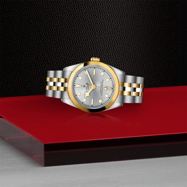 TUDOR Black Bay 31 S&G M79603-0002 - Image 4