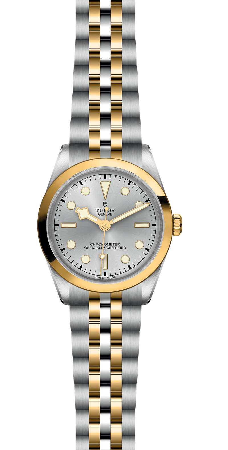 TUDOR Black Bay 36 S&G M79643-0002